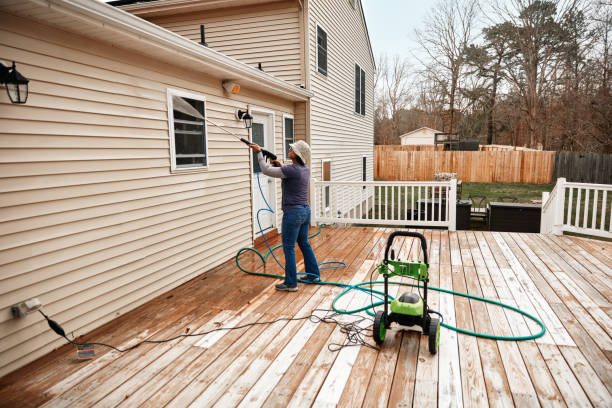 Best Local Pressure Washing Services  in Snead, AL