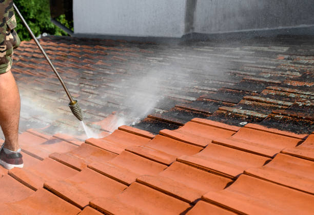 Professional Pressure Washing in Snead, AL