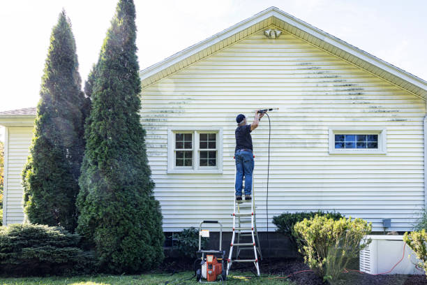 Best Roof Pressure Washing  in Snead, AL