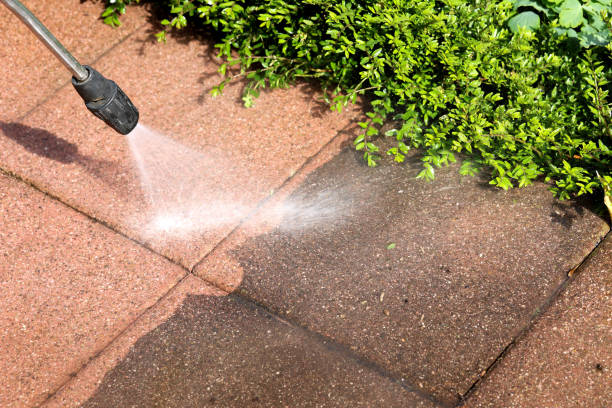 Best Deck Cleaning Services  in Snead, AL